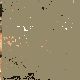 glamour4.gif